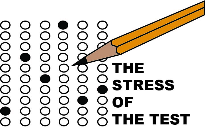 The SAT test has again darkened the halls of Grand Ledge High School. This test, and other standardized tests like it, are the markers of a failing educational system.