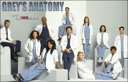 The cast of Grey's Anatomy is full of diversity. Viewers can learn more about the characters on the roller coaster of this show. 