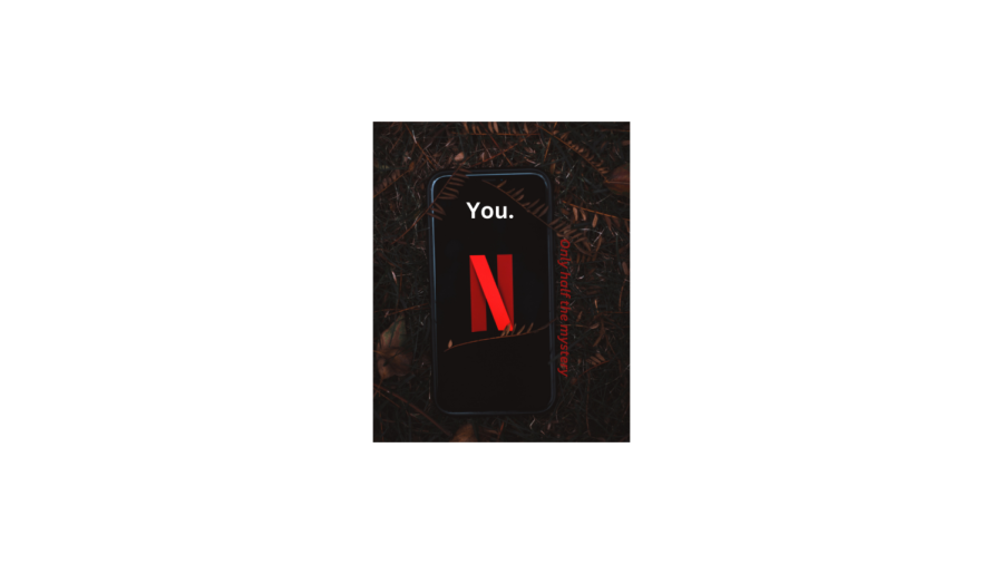 You is defined as a psychological thriller and has millions of viewers. The series has been on air since September of 2018.