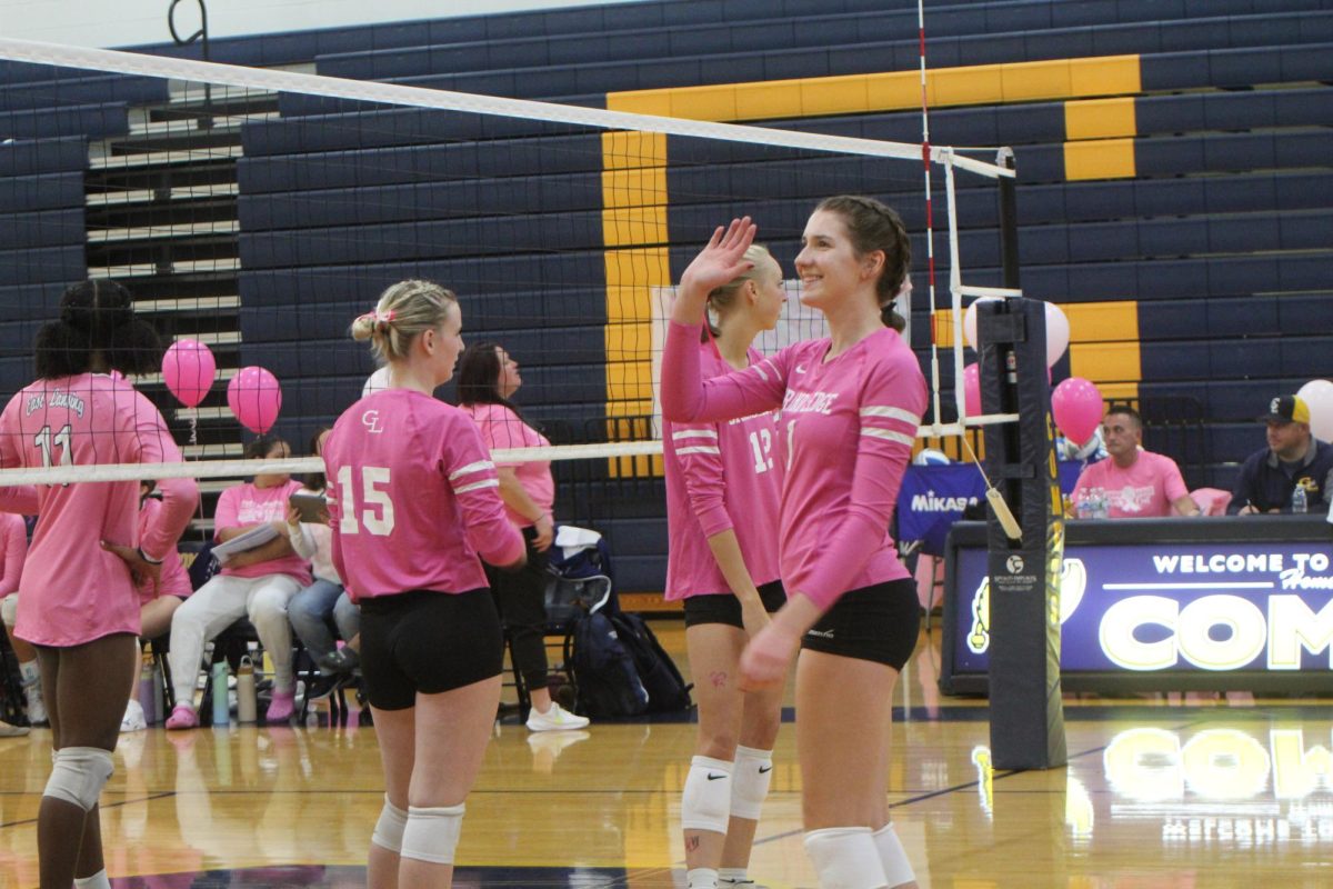 Kylie Goodman waves to the crowd during their breast cancer awareness game. The girls won 3-2 that night against Okemos. 