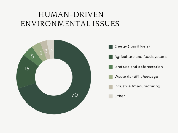 Pie chart out of a percentage of 100 of environmental issues driven by humans.