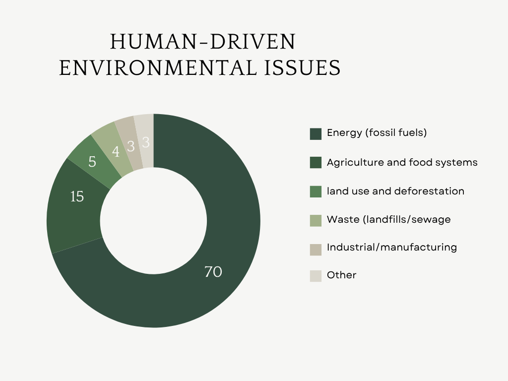 Pie chart out of a percentage of 100 of environmental issues driven by humans.
